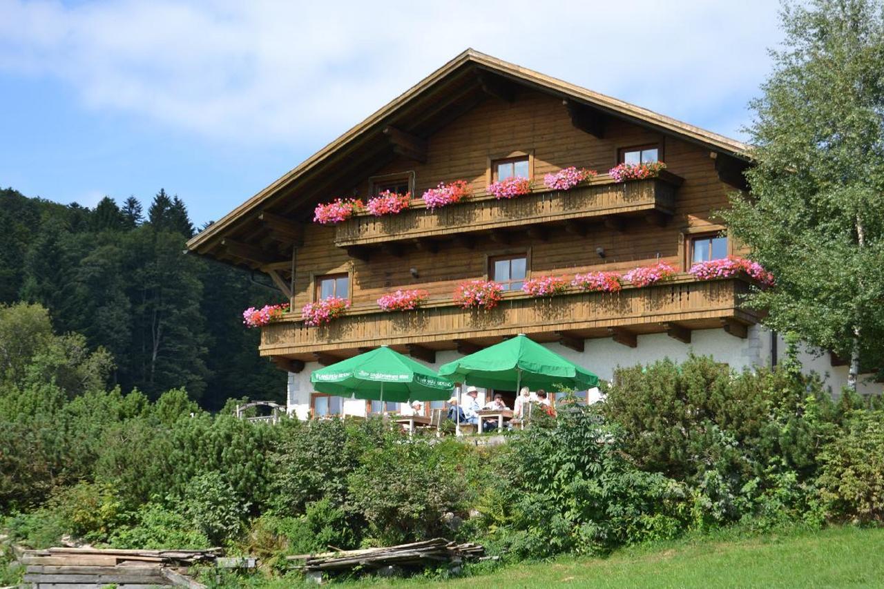 Berggasthof Sonnenalm Hotel Hauzenberg Zewnętrze zdjęcie