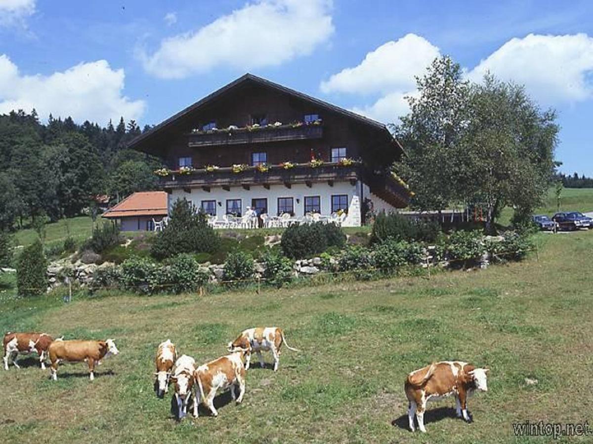 Berggasthof Sonnenalm Hotel Hauzenberg Zewnętrze zdjęcie